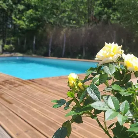 别墅 Grande Maison De Vacances 12pers Piscine